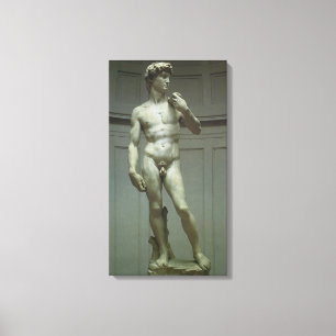 Michelangelo's standbeeld van David Canvas Afdruk