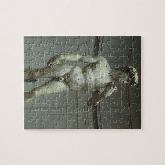 Michelangelo's standbeeld van David Legpuzzel (Horizontaal)