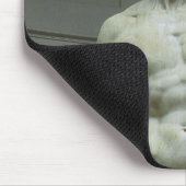 Michelangelo's standbeeld van David Muismat (Hoek)