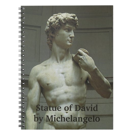 Michelangelo's standbeeld van David Notitieboek (Voorkant)