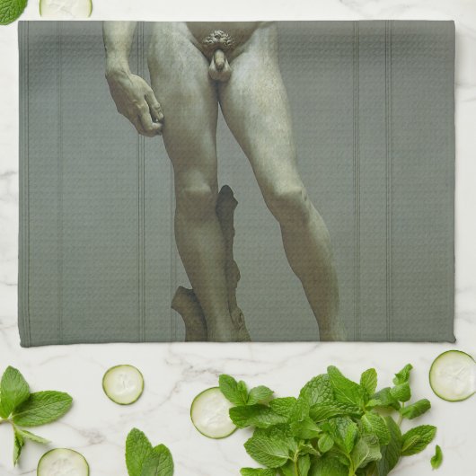 Michelangelo's standbeeld van David Theedoek (Gevouwen)