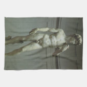 Michelangelo's standbeeld van David Theedoek (Horizontaal)