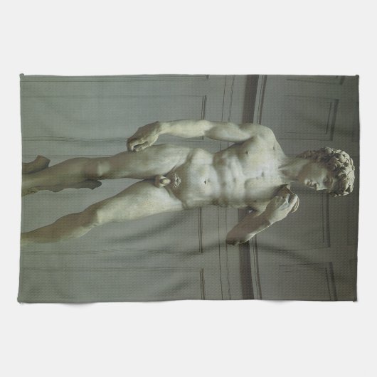 Michelangelo's standbeeld van David Theedoek (Horizontaal)