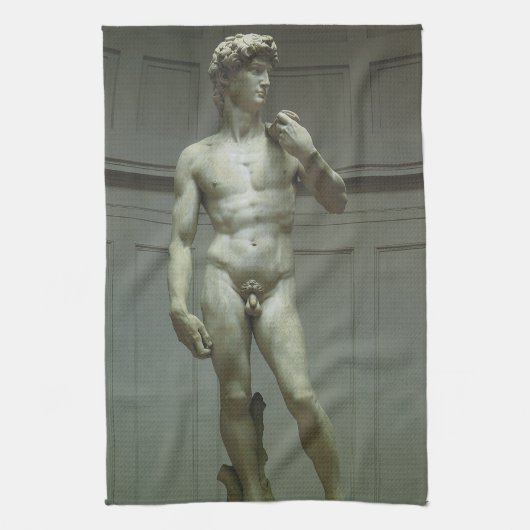 Michelangelo's standbeeld van David Theedoek (Verticaal)