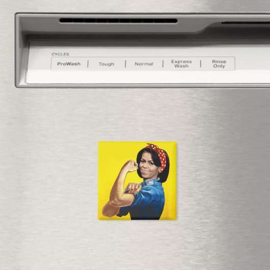 MICHELLE DE RIVETER MAGNEET (Insitu (Vaatwasser))