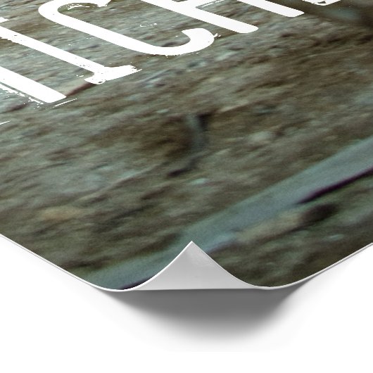 Michelle, mei 2008 poster (Hoek)