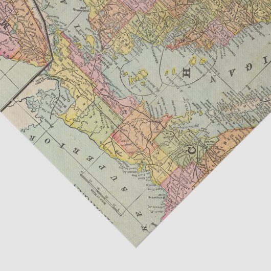 Michigan 3 tissuepapier (Detail)