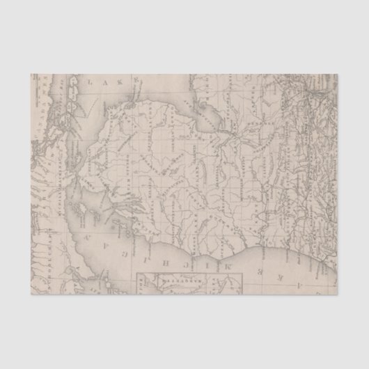 Michigan 9 tissuepapier (Voorkant)