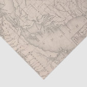 Michigan 9 tissuepapier (Detail)