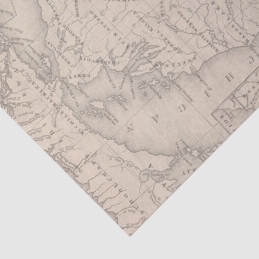 Michigan 9 tissuepapier (Detail)