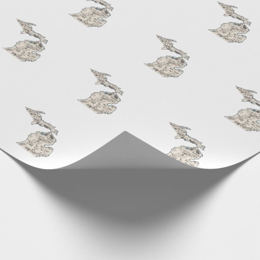 Michigan  Afbeelding Map Cadeaupapier (Hoek)