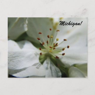 Michigan Apple Blossom Briefkaart