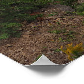 Michigan Arch Rock Geology Foto Poster (Hoek)