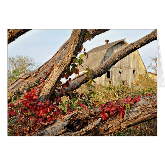 Michigan Barn en Herfst Color (Voorkant Horizontaal)