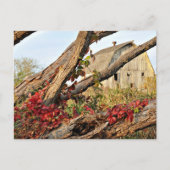 Michigan Barn en Herfst Color Briefkaart (Voorkant)