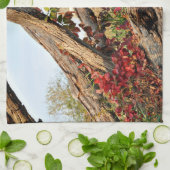 Michigan Barn in Herfst Theedoek (Gevouwen)