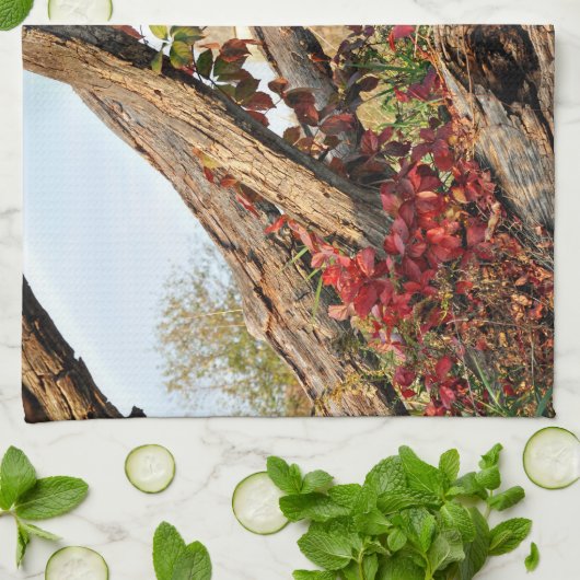 Michigan Barn in Herfst Theedoek (Gevouwen)