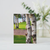 Michigan Birch Trees bij Lake Briefkaart (Staand voorkant)
