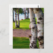 Michigan Birch Trees bij Lake Briefkaart (Voorkant / Achterkant)