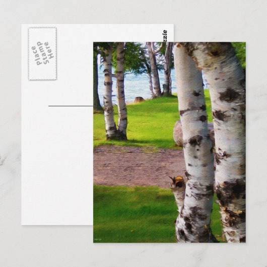 Michigan Birch Trees bij Lake Briefkaart (Voorkant / Achterkant)