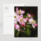 Michigan Blooms Briefkaart (Voorkant / Achterkant)