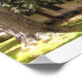 Michigan Boerderij House Poster (Hoek)