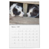 Michigan Border Collies 2012 Calendar Kalender (Feb 2027)