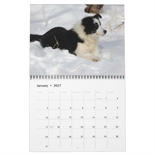 Michigan Border Collies 2012 Calendar Kalender (Jan 2027)
