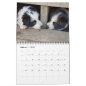 Michigan Border Collies 2012 Calendar Kalender (Feb 2026)
