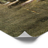 Michigan Boulevard in Night, Chicago 1911 Briefkaa Poster (Hoek)