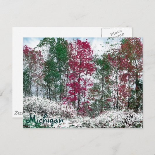 Michigan Briefkaart (Voorkant / Achterkant)