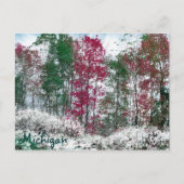 Michigan Briefkaart (Voorkant)