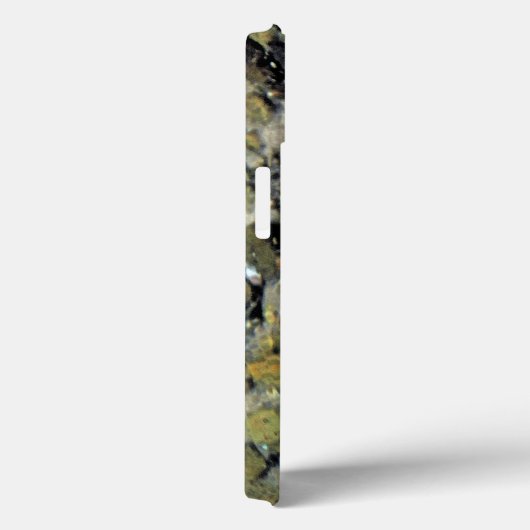 Michigan Brown Trout Case-Mate iPhone Case (Achterkant / Rechts)