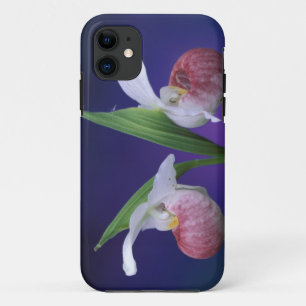 Michigan, Bruce Peninsula National Park. Prachtig Case-Mate iPhone Case