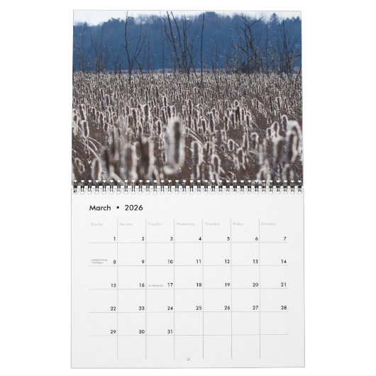 Michigan buiten 2024 kalender (Mar 2026)