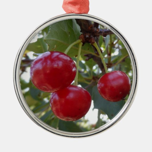 Michigan Cherries Metalen Ornament (Voorkant)