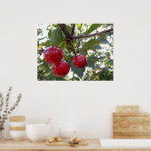 Michigan Cherries Poster (Keuken)