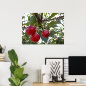 Michigan Cherries Poster (Thuiskantoor)