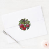 Michigan Cherries Ronde Sticker (Envelop)