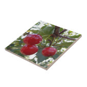Michigan Cherries Tegeltje (Zijkant)