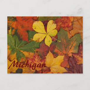 Michigan Colorful Autumn Leaves Briefkaart