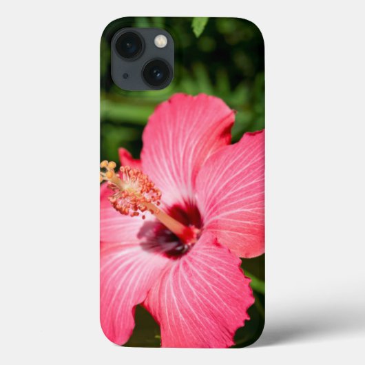 Michigan, Dearborn. Detail van roze hibiscus Case-Mate iPhone Case (Achterkant)