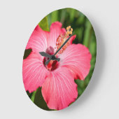 Michigan, Dearborn. Detail van roze hibiscus Grote Klok (Hoek)