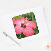 Michigan, Dearborn. Detail van roze hibiscus Vierkante Sticker (Envelop)