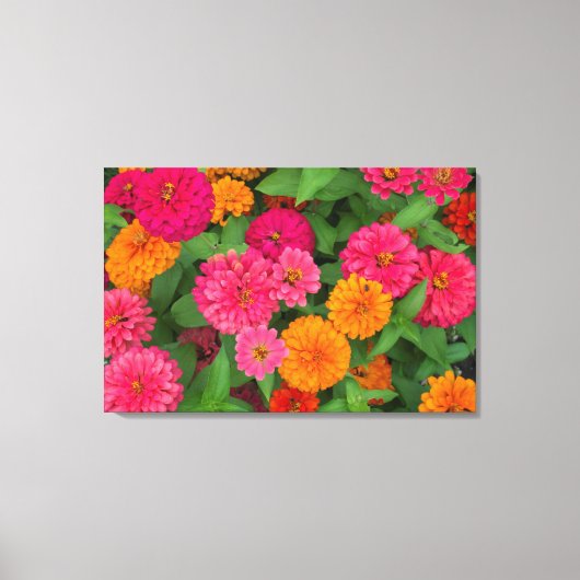 Michigan, Dearborn, Greenfield Village. Close Up Canvas Afdruk (Voorkant)