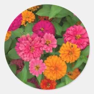 Michigan, Dearborn, Greenfield Village. Close Up Ronde Sticker