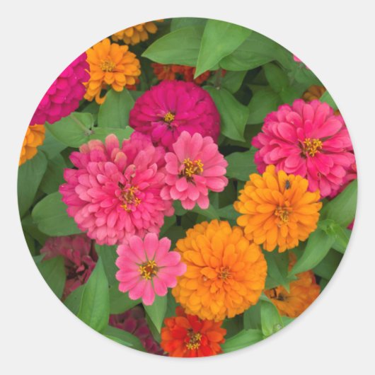 Michigan, Dearborn, Greenfield Village. Close Up Ronde Sticker (Voorkant)