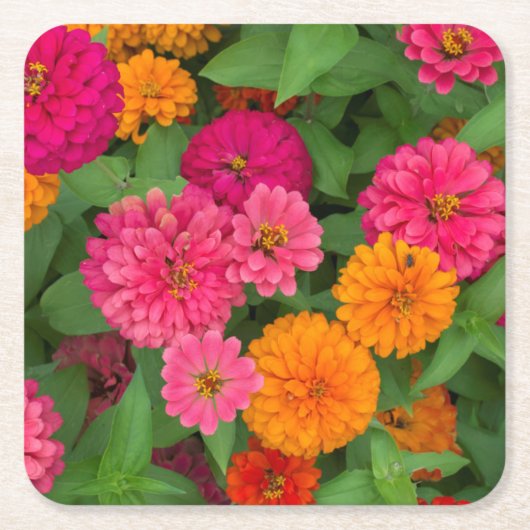 Michigan, Dearborn, Greenfield Village. Dichtbij Kartonnen Onderzetters (Voorkant)