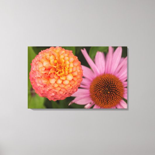 Michigan, Dearborn, Greenfield Village. Peach Canvas Afdruk (Voorkant)