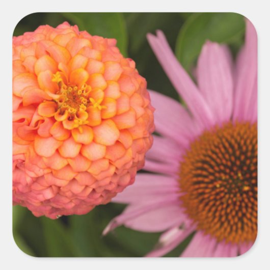 Michigan, Dearborn, Greenfield Village. Peach Vierkante Sticker (Voorkant)